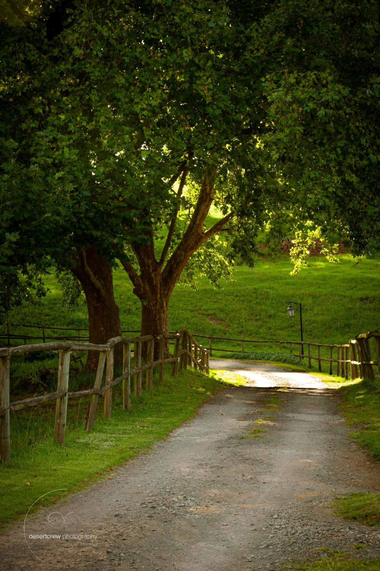 Newstead Farm - Country Cottages Curry's Post Экстерьер фото