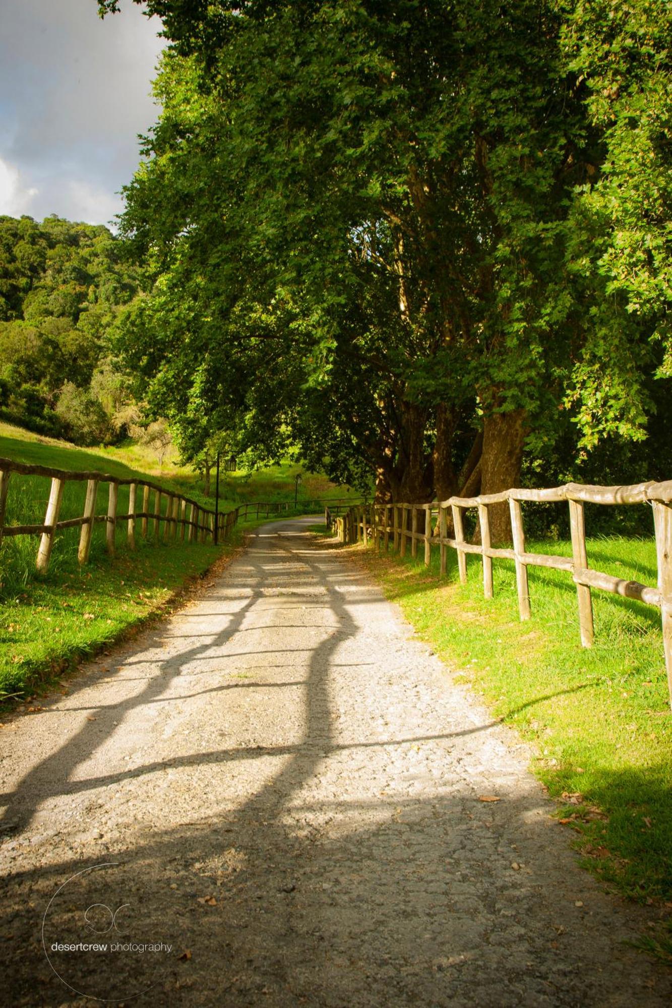 Newstead Farm - Country Cottages Curry's Post Экстерьер фото