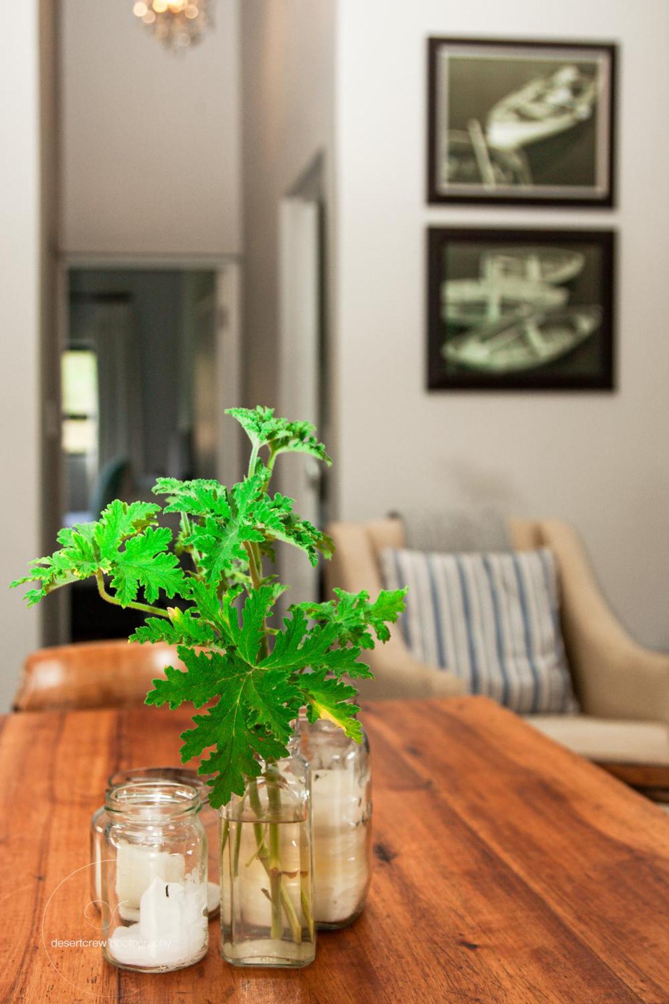 Newstead Farm - Country Cottages Curry's Post Экстерьер фото